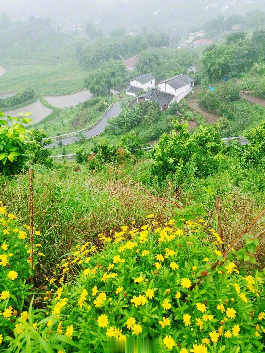 #四川宜宾地震#对川南宜宾印象很好，乡村诗酒田园风，返璞归真的感觉，而且有历史，