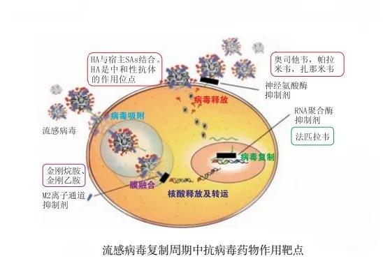 儿童罹患流感后的选择用药

#流感季你中招了吗##健闻登顶计划# 流感不是普通感