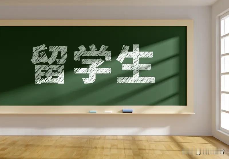 中国留学生在慕尼黑车站遭遇惊魂一刻：两名醉酒女子突然袭击，当事人果断反击致对方受