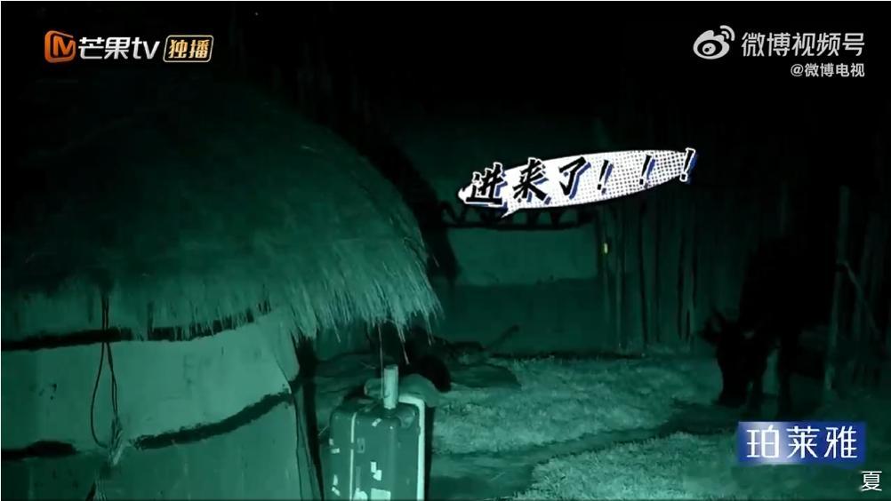 黄子韬半夜被牛偷家 黄子韬半夜被牛“偷家”笑料百出！牛大半夜溜进院子，把刚睡着的