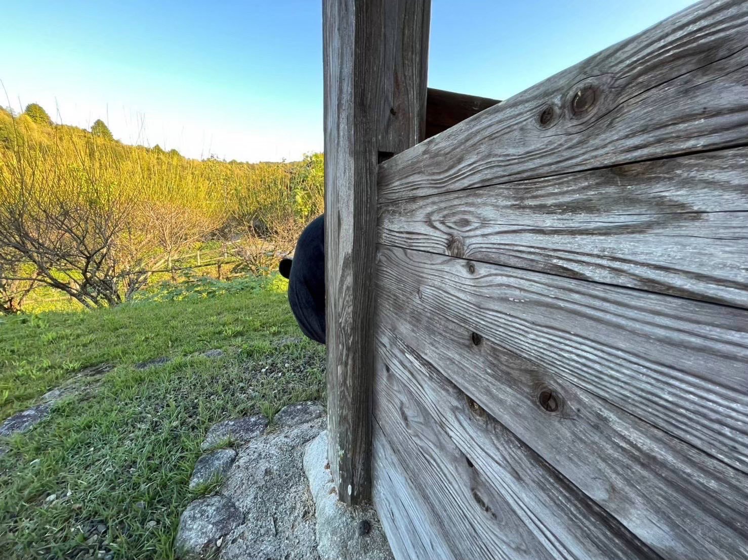 [太开心][太开心][太开心] ​​​