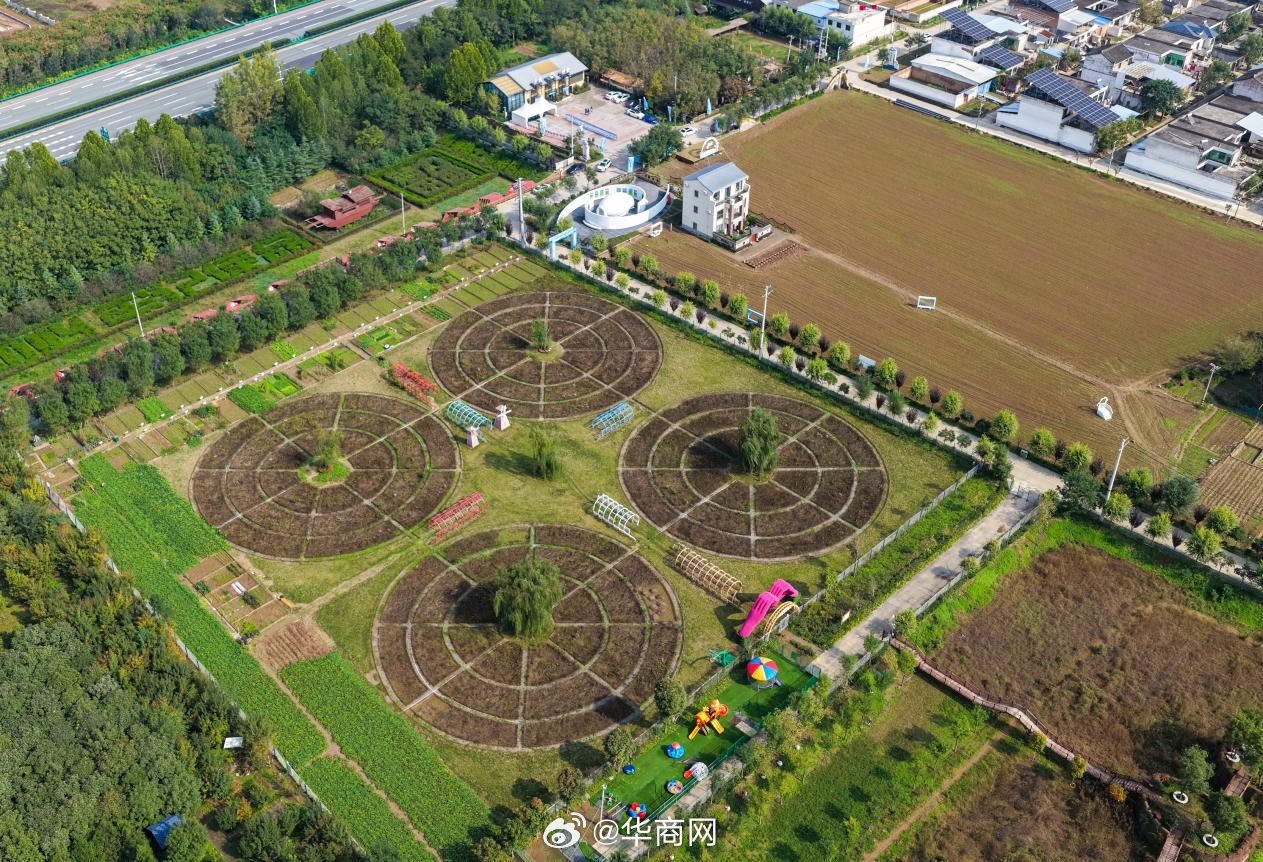 #解码杨凌农科城创新实践# 【基层实践：畅通成果转化“最后一公里”，绘就乡村“新