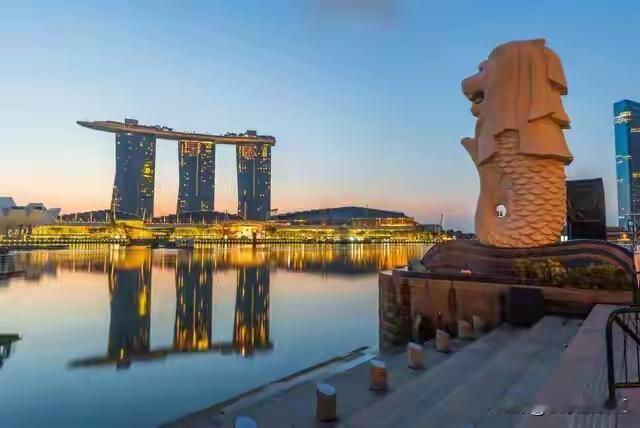 海南封关动了谁的奶酪？新加坡这下真慌了！但真相不是谁取代谁！
 
以前澳大利亚牛