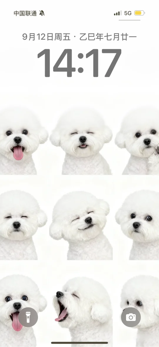 是谁还没有小狗屏保？