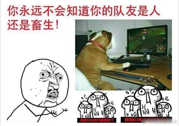 你永远不知道游戏队友是人还是动物？[doge]甚至不知道他是在什么情况下用什么设