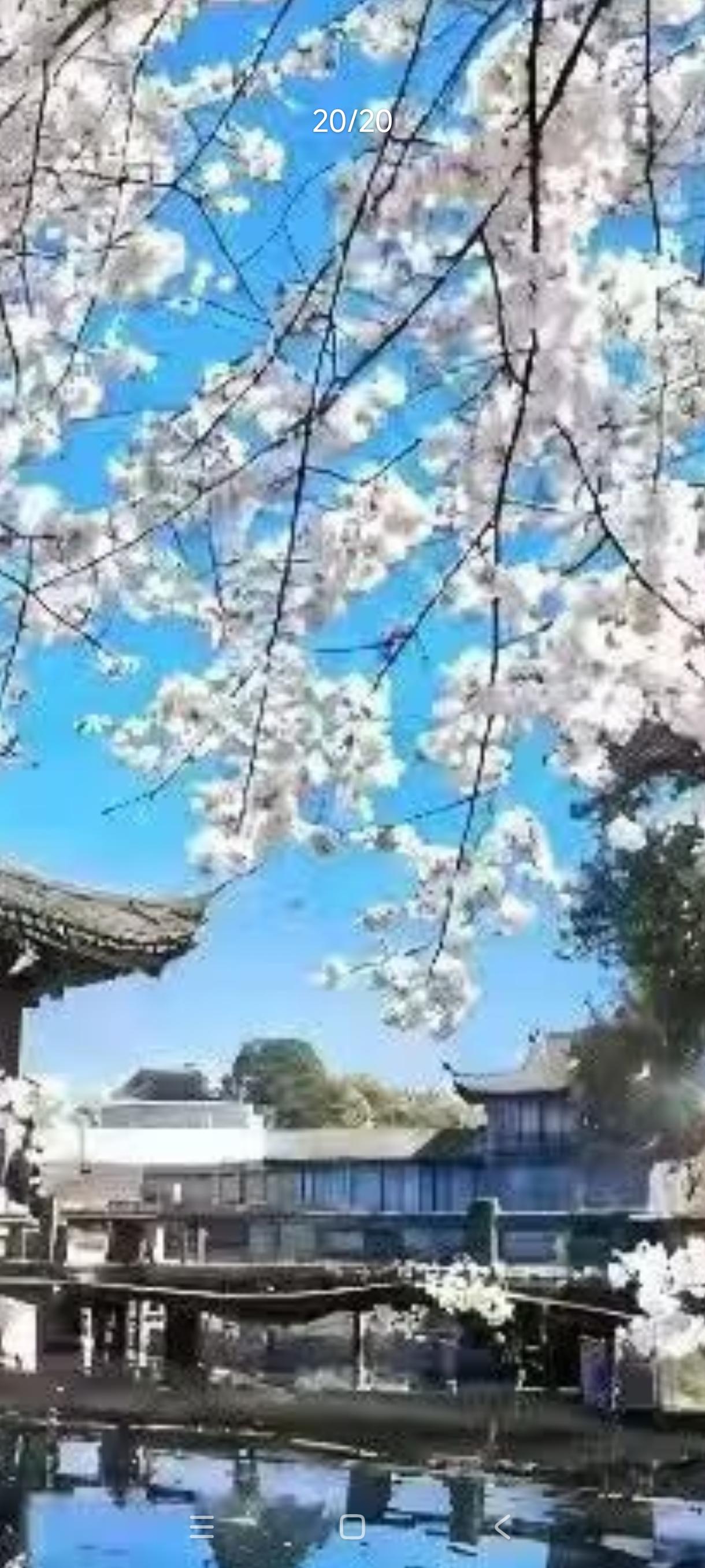 在大沙东7号线，有几个人想去黄埔区的办证中心，其中一个人说这条线不是到香雪的，我