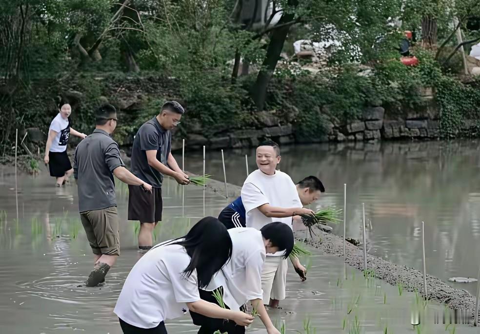 农民插秧是为了收获，而马大爷他们插秧是为了什么？