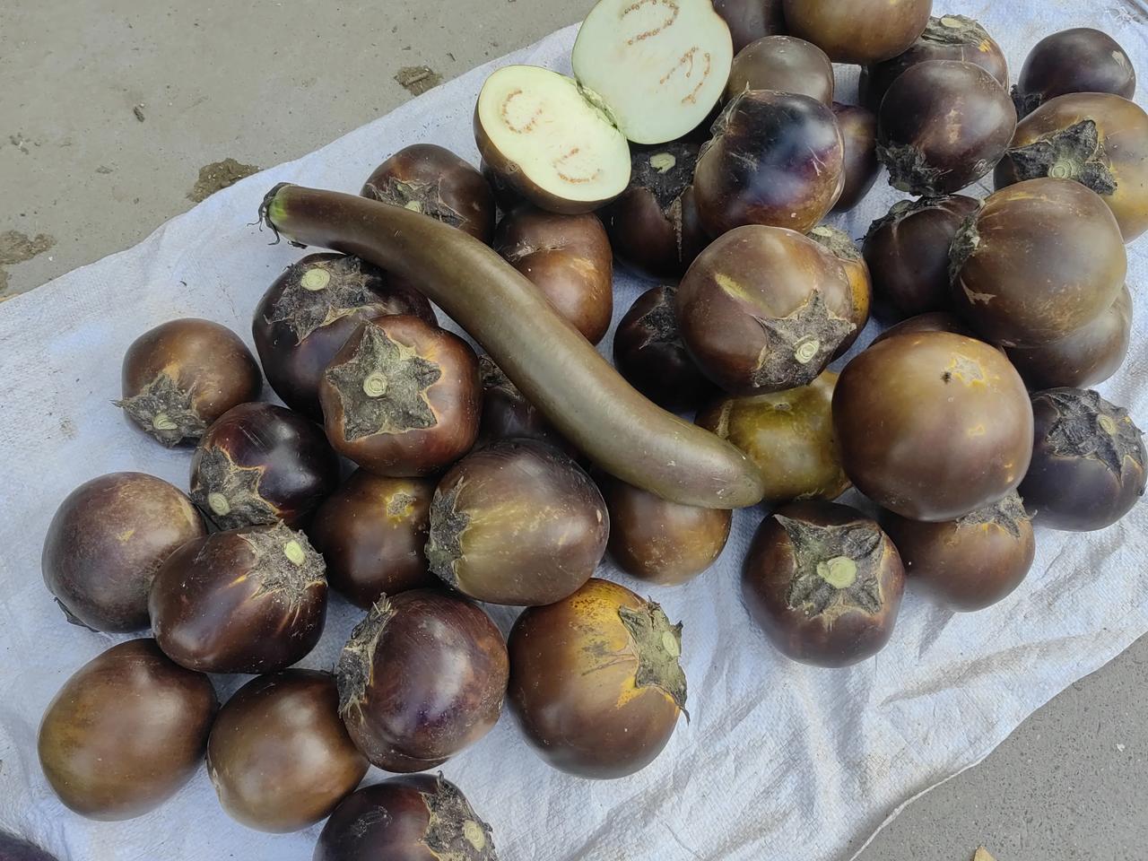 今天七月廿三，我们村集上有一份卖茄子的，茄子是自己种的。
他卖的是两个品种的茄子