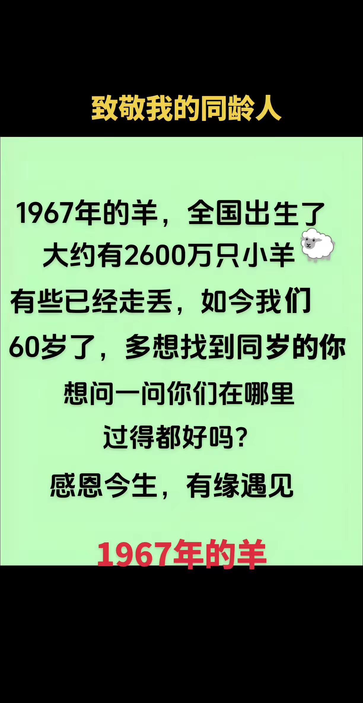 致67年的羊，感恩所有的遇见