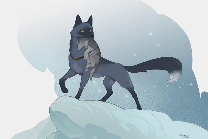 #二次元新鲜事#脑子里瞬间一部大剧[doge]🦊 ​​​