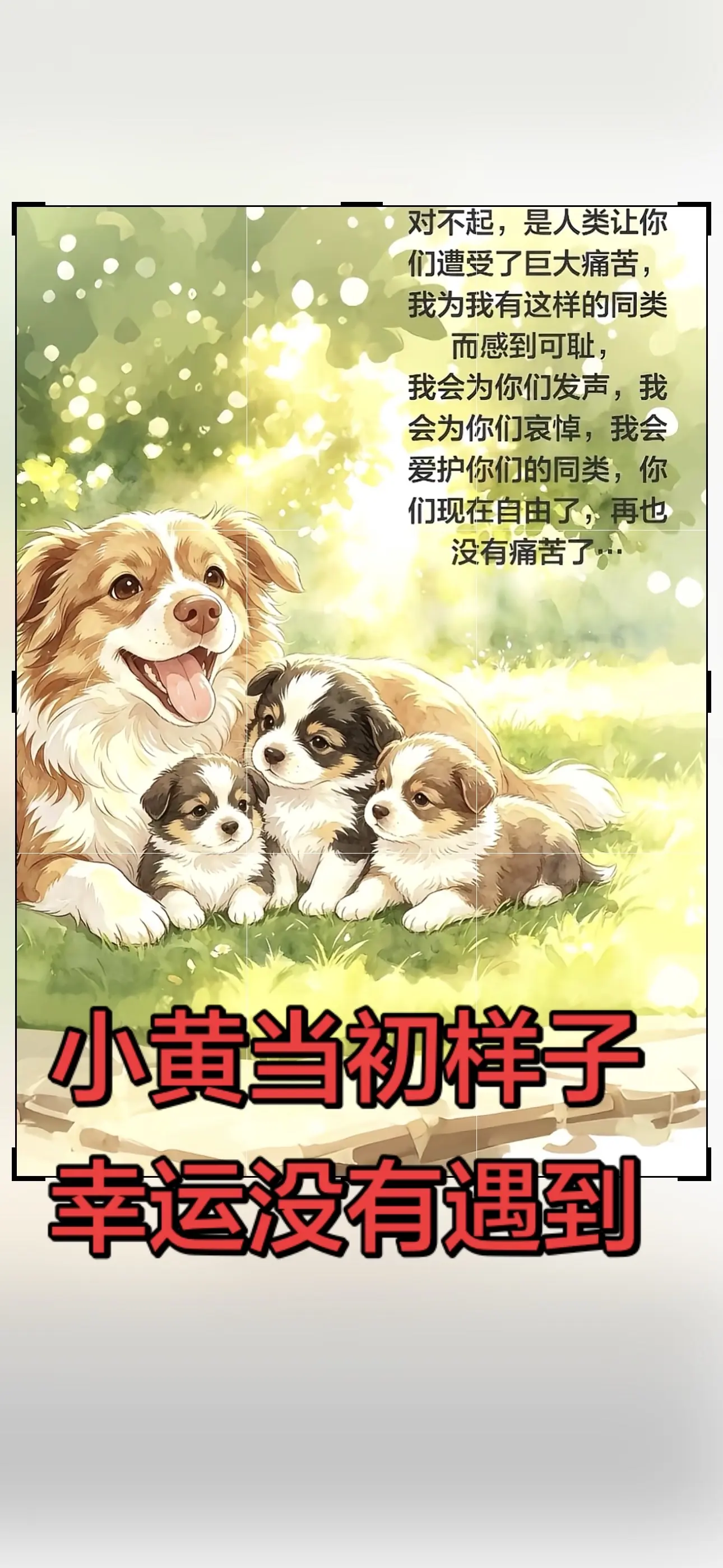多么可爱的一家，还好当初小黄一家四口没有遇到这几个坏孩子，要不然又全家...