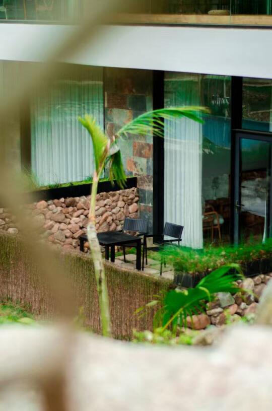 春天的森林小屋｜24小时森呼吸美学指南