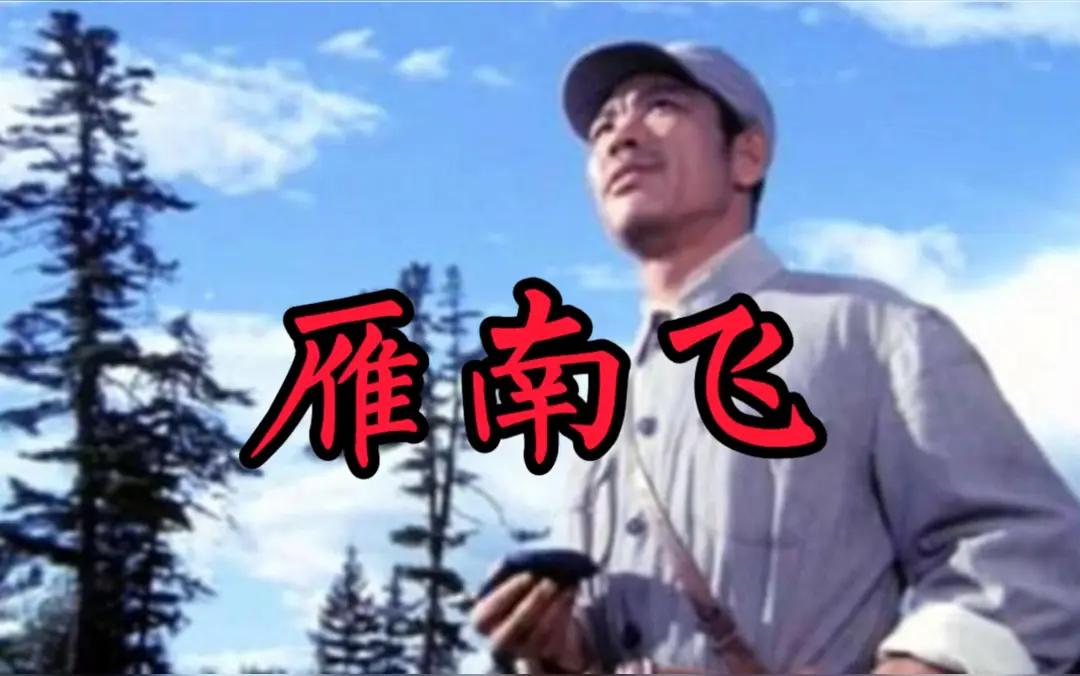 《雁南飞》是一首流淌着家国情怀与个人命运的悲怆之歌。它不同于《女儿情》中婉转克制