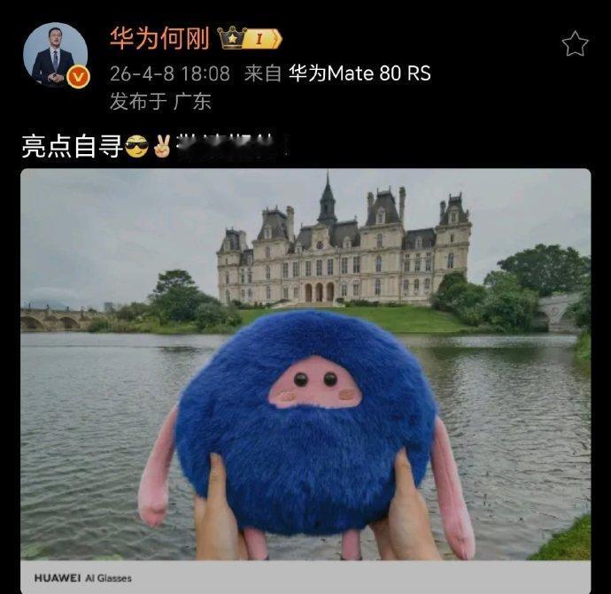 何总这图里确实有亮点啊。水印是来自AI Glasses。
这个效果还可以，意思是