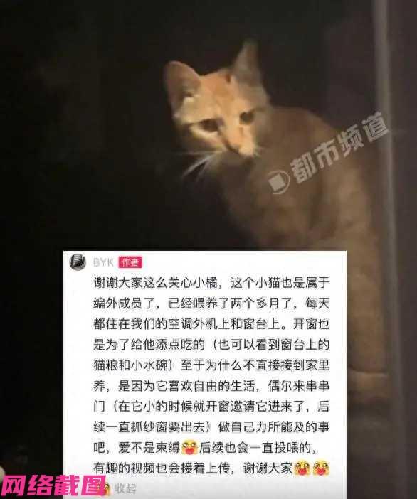 浙江有小伙在无事无聊时，经常在家门口投喂一只流浪猫两月有余，此刻猫咪却为表达内心