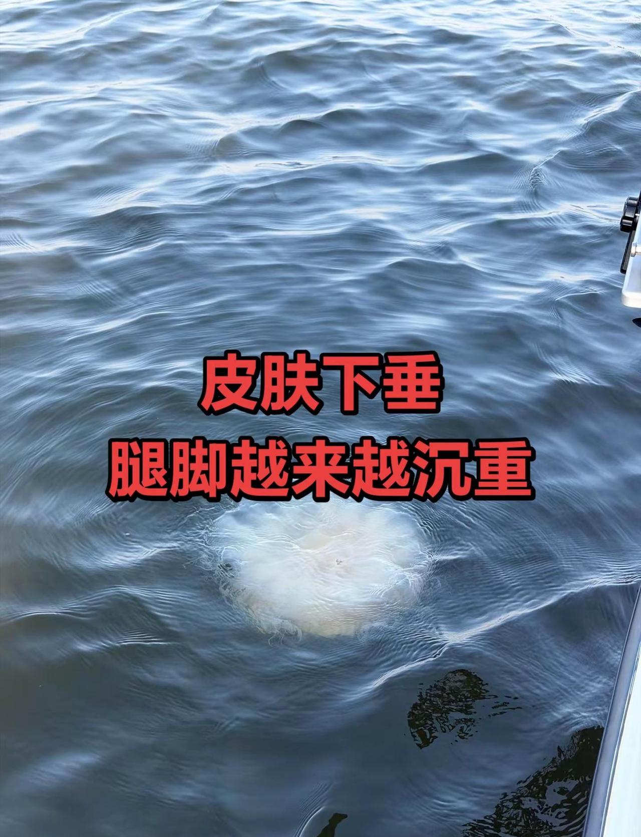 皮肤下垂，腿脚沉重，杏仁粉，收官大战战况紧张！2025至2026赛季欧乒俱乐部冠