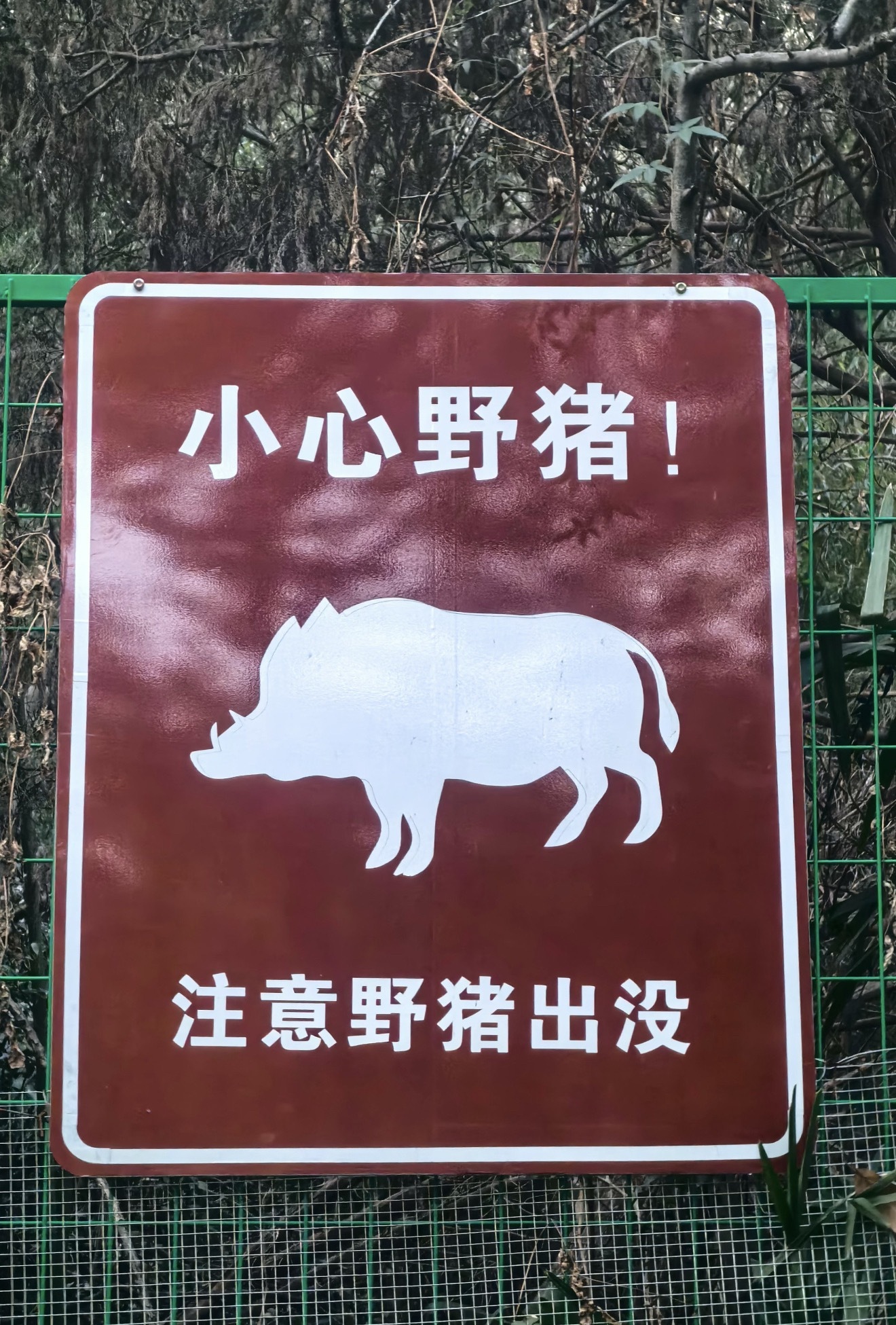 恋与深空新男主：野兽❌ 狼人❌ 野猪✅ 