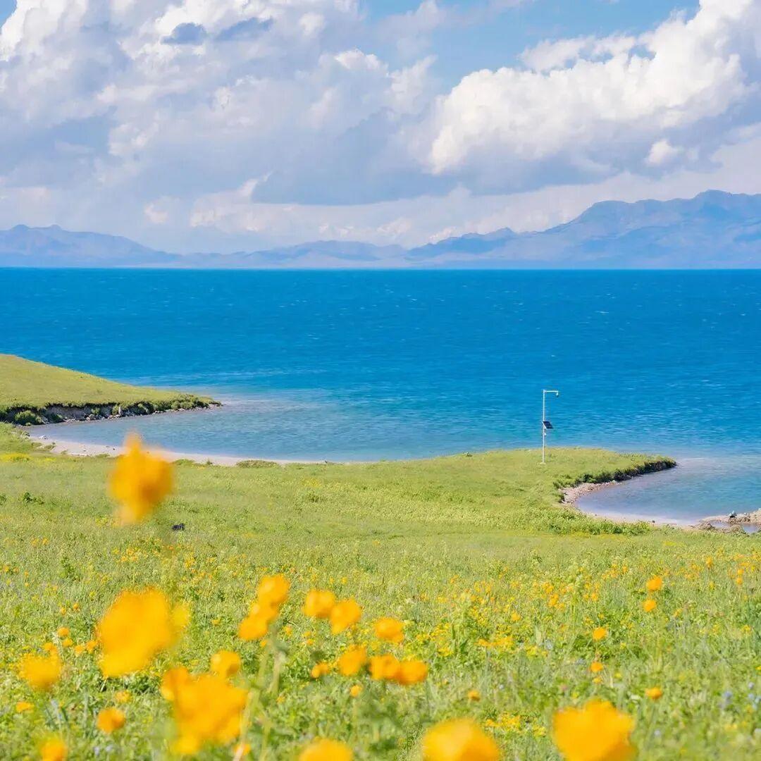 集卡领红包这两天温度上升了，估计年后不久花就盛开了。现在的户外活动增加感觉浑身上