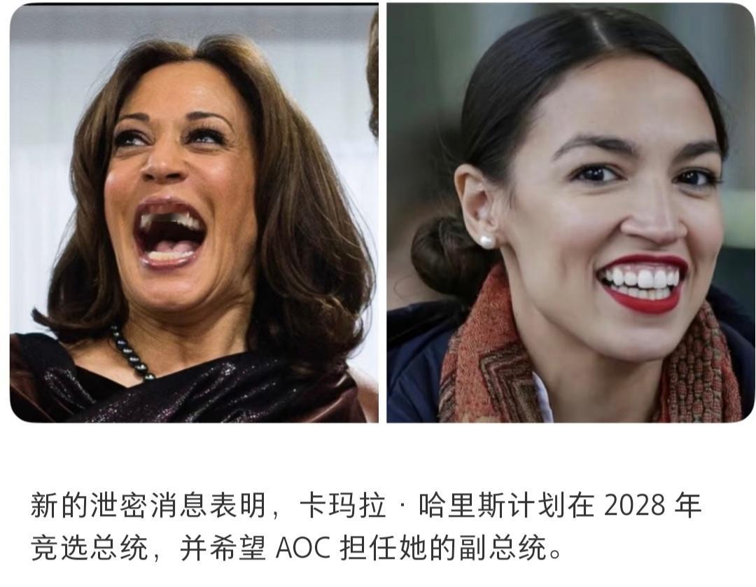 寄，dumb and dumber，共和党这下要千秋万代了。 ​​​