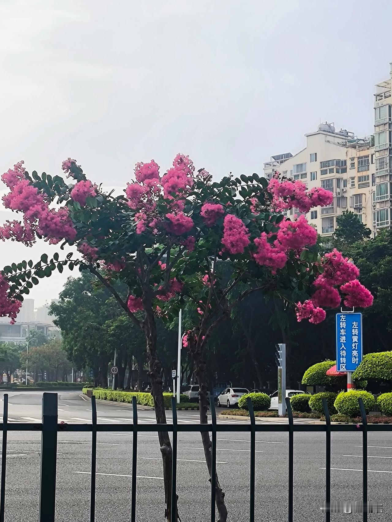 我觉得女人就该有点海王的心态，走男人的套路，男人不回消息也无所谓，至少姐曾撩过你