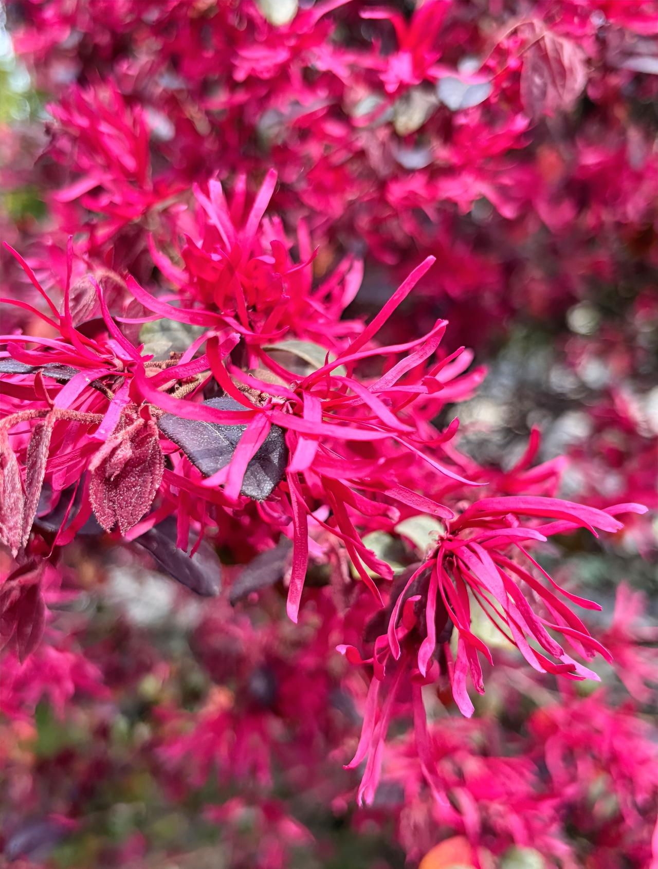 我发现一件很有意思的事。

一个人有没有编制、是不是公务员，很大程度上决定了你在