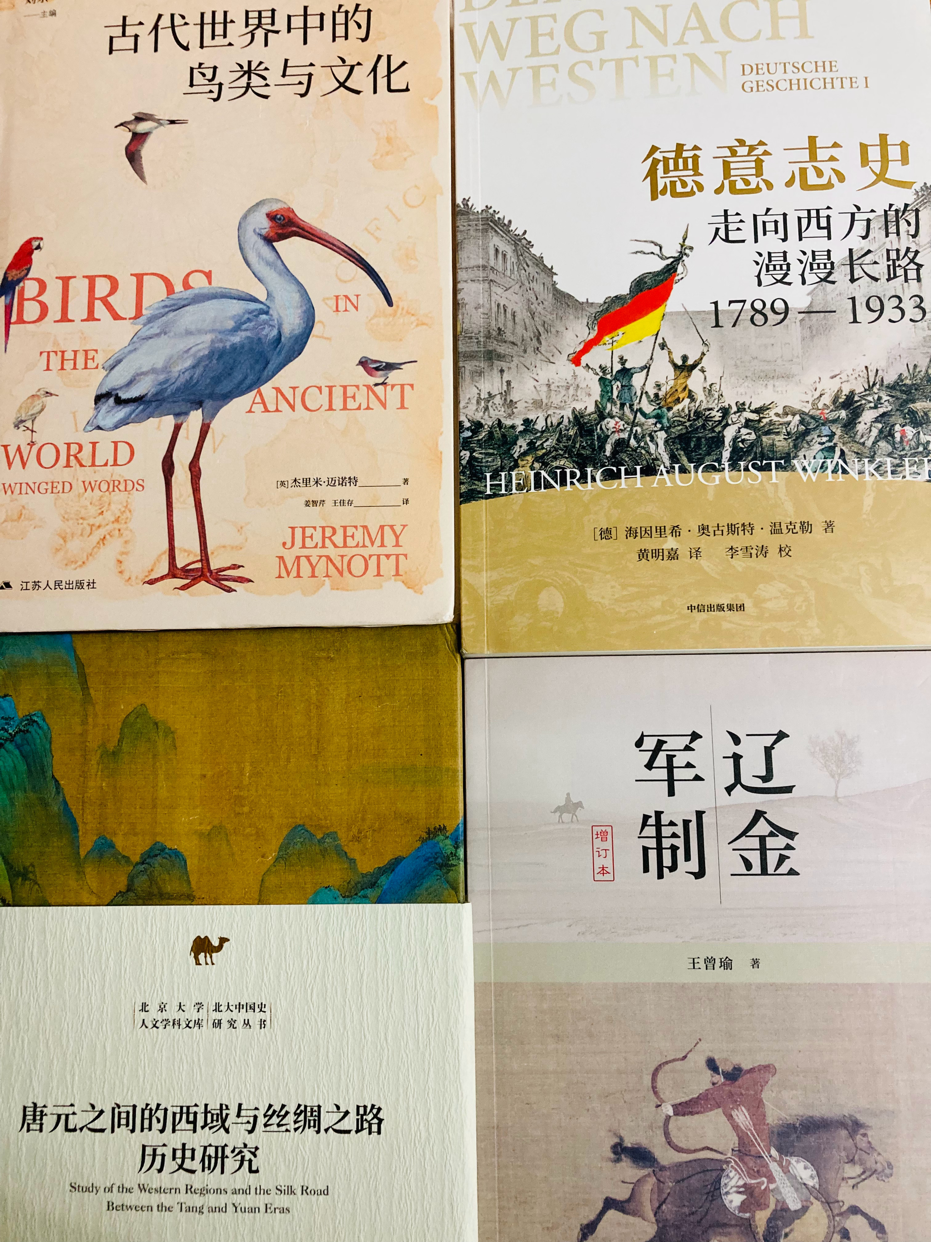 多抓鱼一单 书影多抓鱼 《唐元之间的西域与丝绸之路历史研究》《辽金军制》《古代世