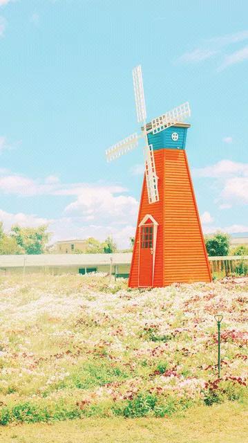 春尽夏临满是辉，水映江岸多绿翠时姑娘沉思心澎湃，几度红颜自芳菲！