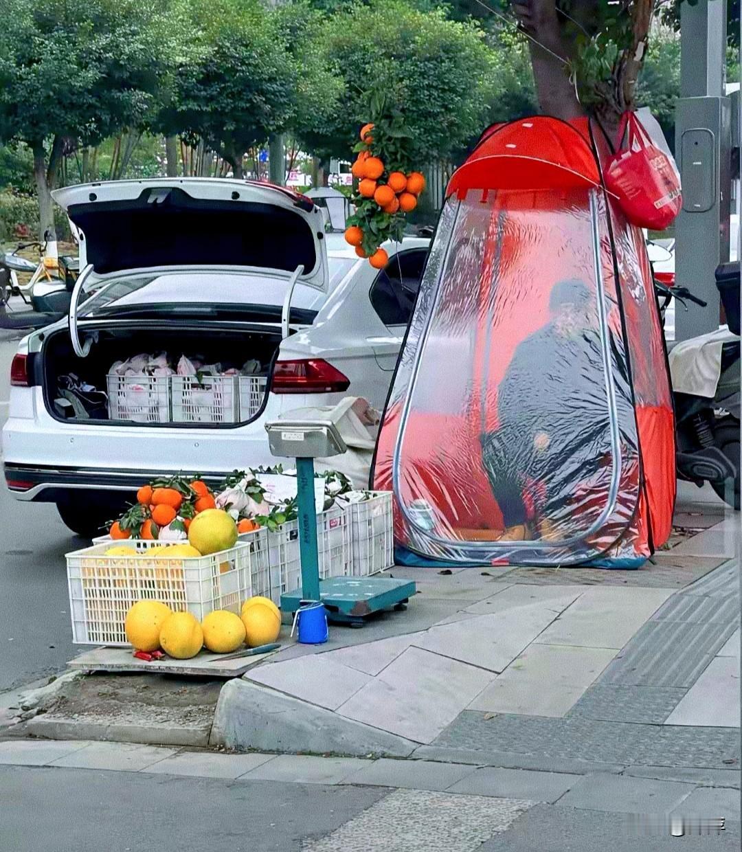 头脑聪明的人早晚要成就一片辉煌！