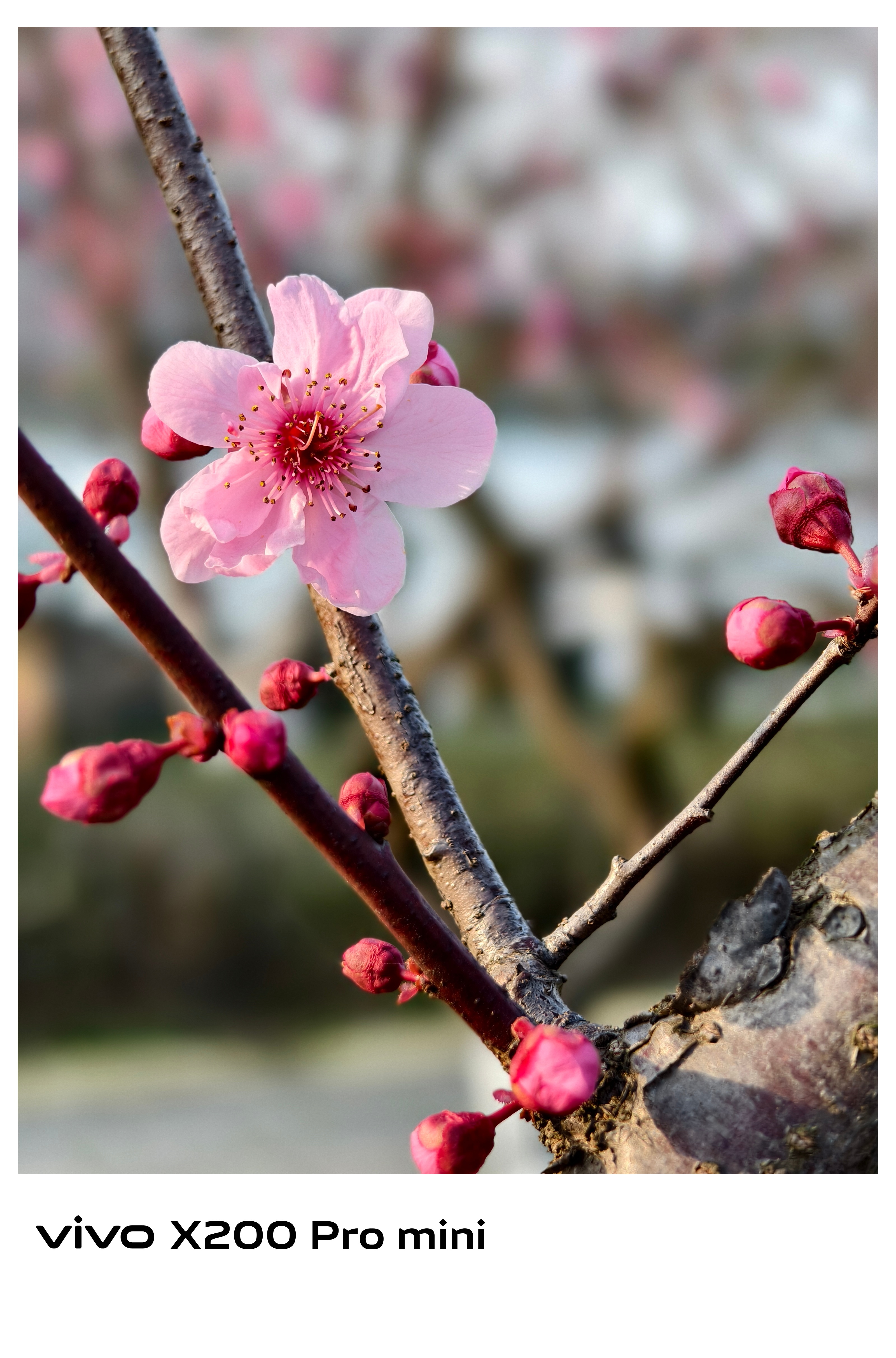 宝子们早上好！今天你铁了嘛？ ​​​