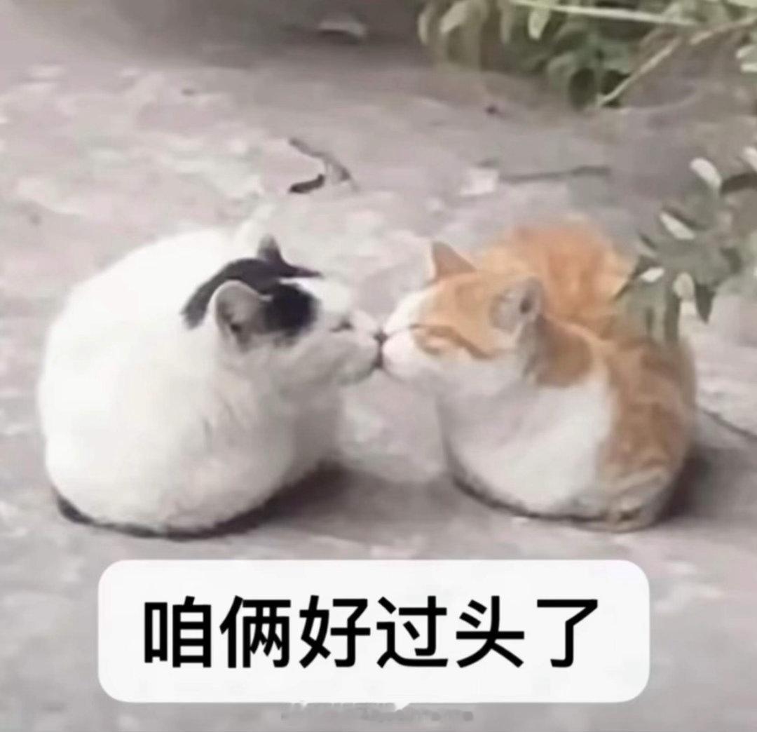 流汗黄豆的瞬间 ​​​