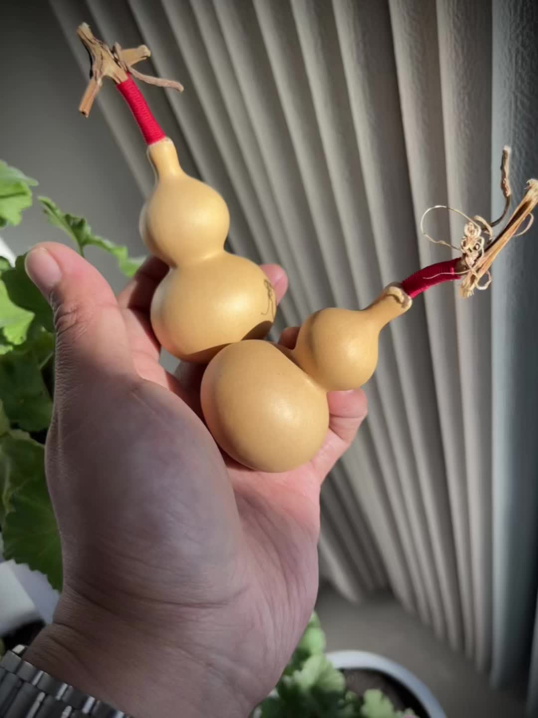 葫芦 盘葫芦