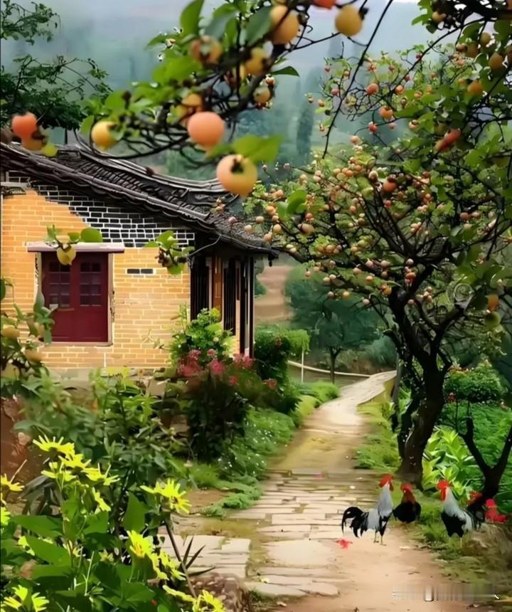 证明秋天来了莫过于门前屋后曾两度受过黄封的柿子树，秋天一到，满树柿子开始变黄，看