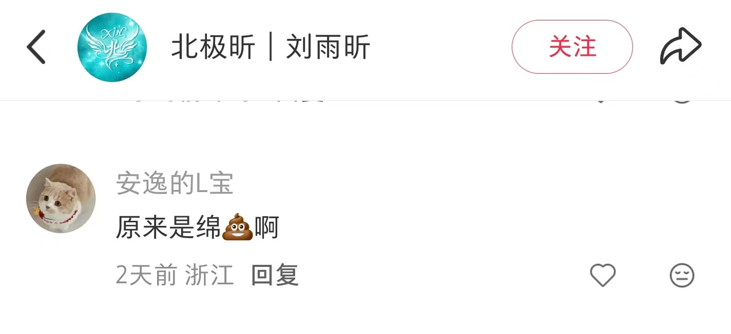 我该如何评价刘雨昕粉丝 的智商 