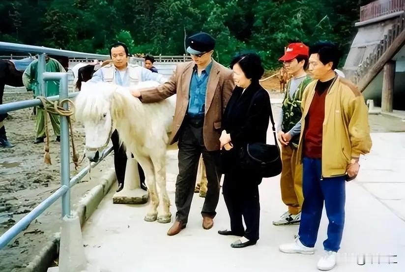 王铎：《西游记》白龙马最后被遗弃的悲剧
大概是在1996年，杨洁在无锡影视城见到