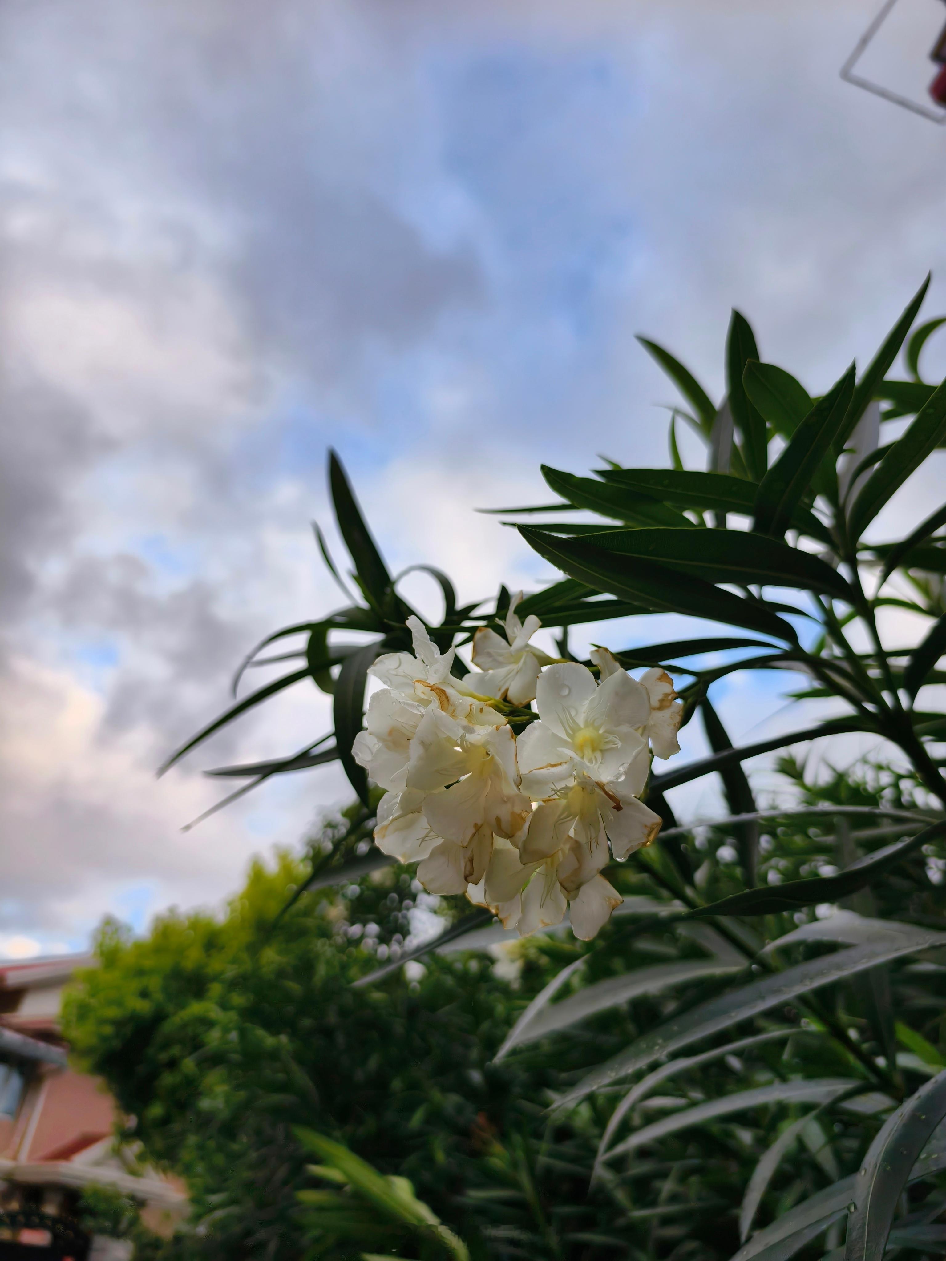 早上出酒店房间门，电梯口看到有个主管在给保洁阿姨们训话，大概是有人给了个差评，要