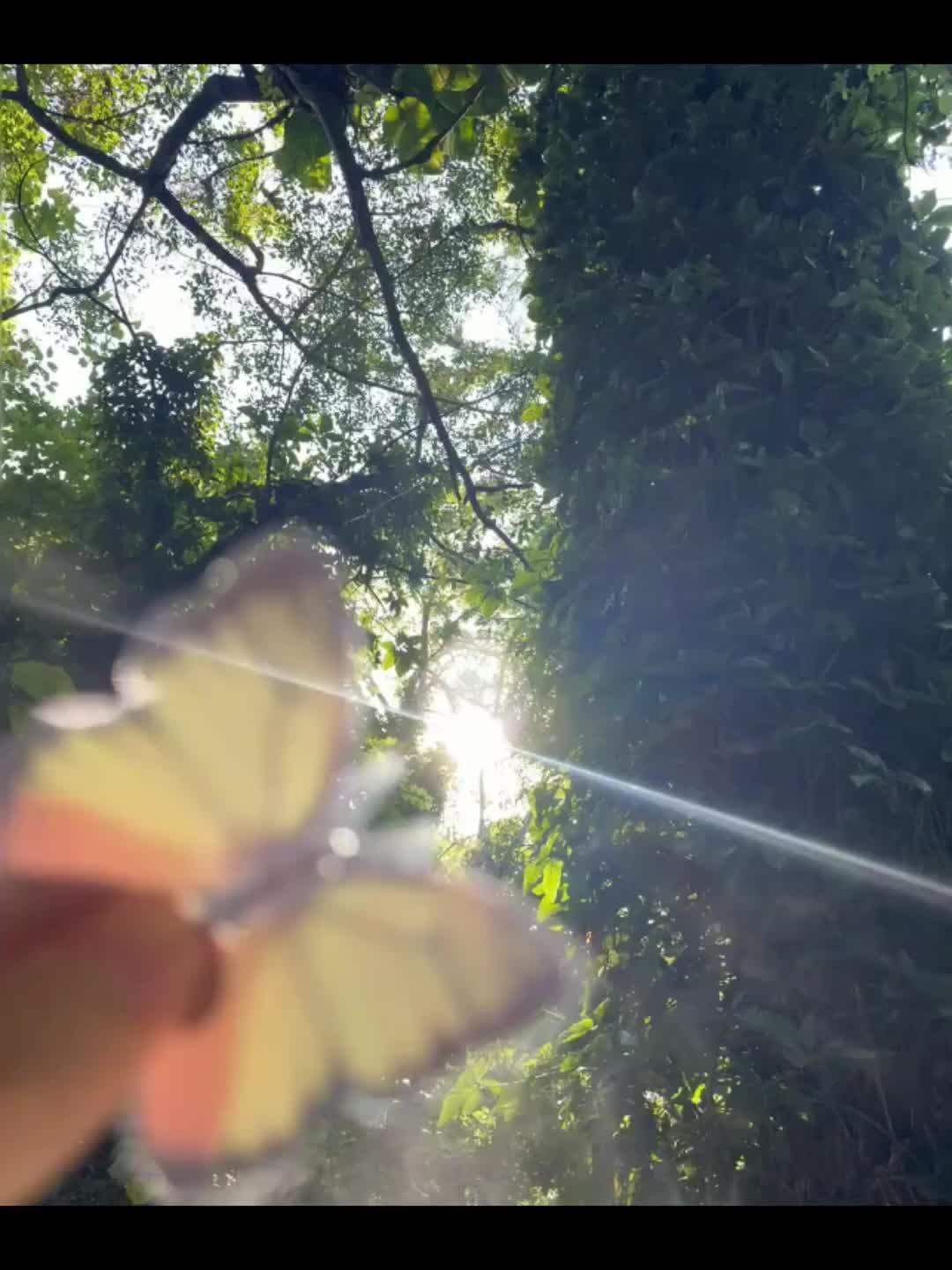 如果再遇到爱的人记得去拉着她的手
