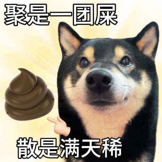 表情包|苟富贵 勿相忘🎓