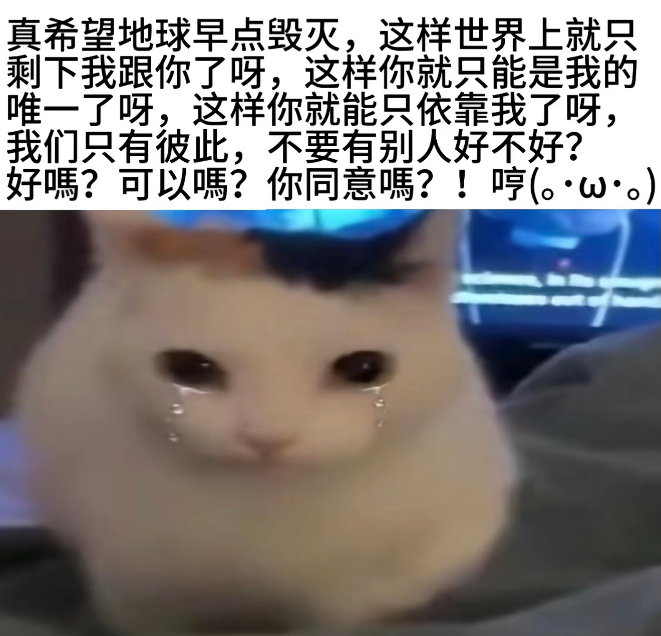 分享图片 