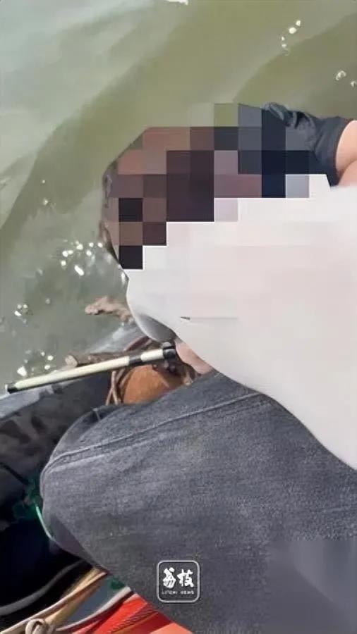 救了个姑娘。

反倒挨了怼。

我看完天津代先生的遭遇真的气不打一处来。

他那
