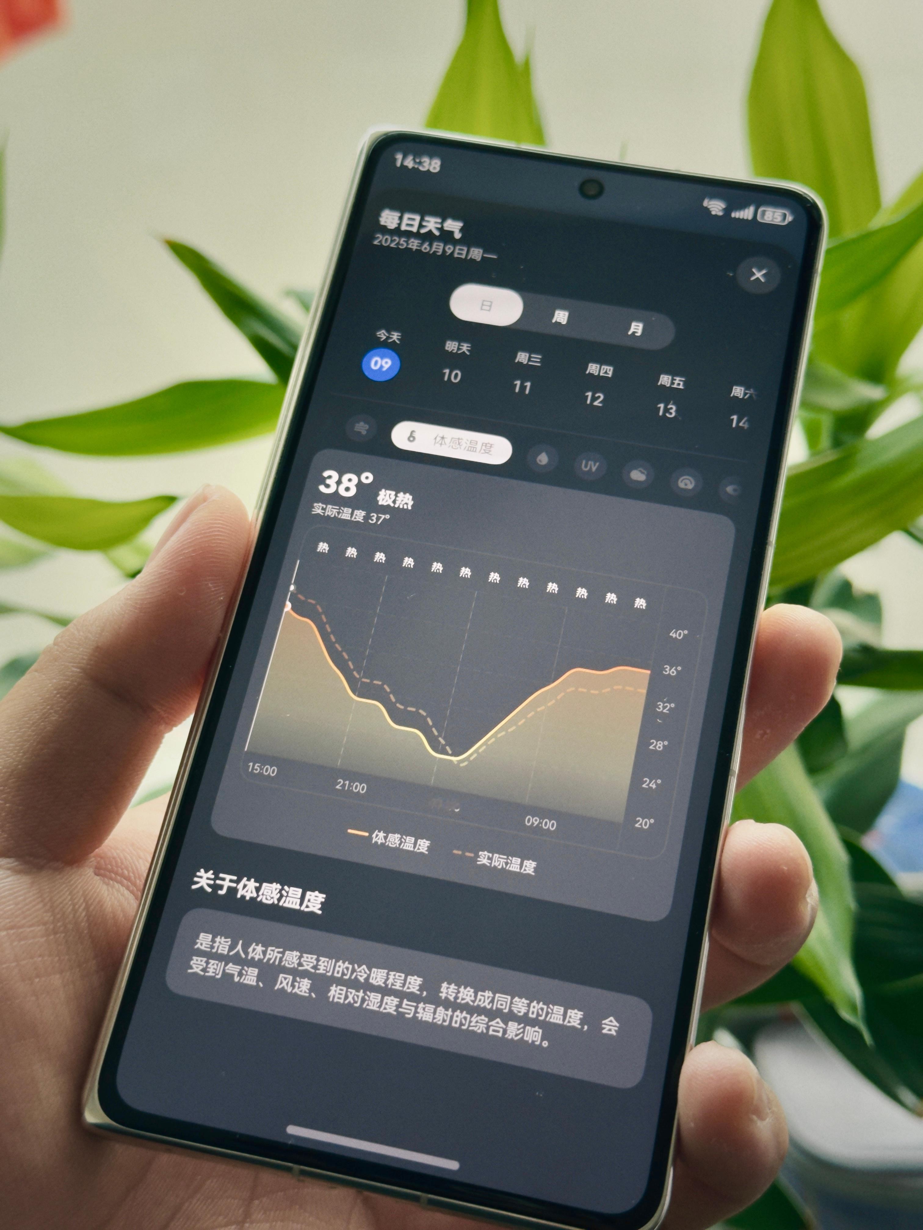 河北这边今天体感 38 度，这日光浴，温度正好。[二哈] ​​​