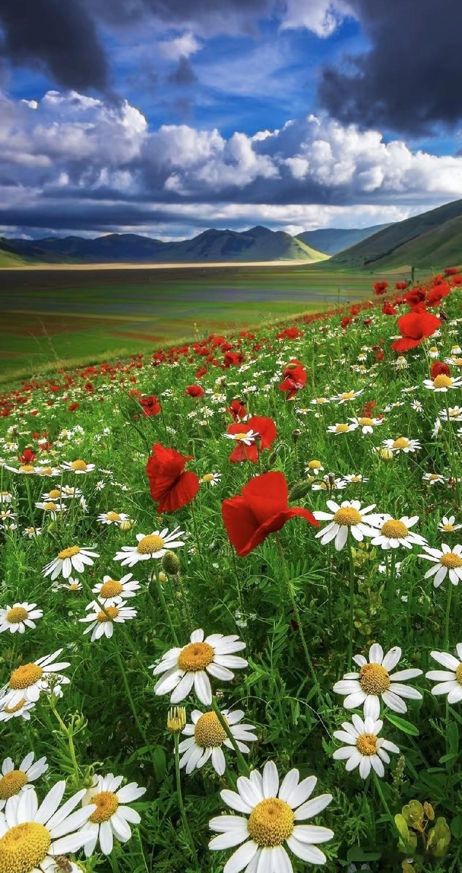 女人别傻！上床前男人的“真爱”可能是假的
 
男人上床前，脑子基本被下半身牵着走