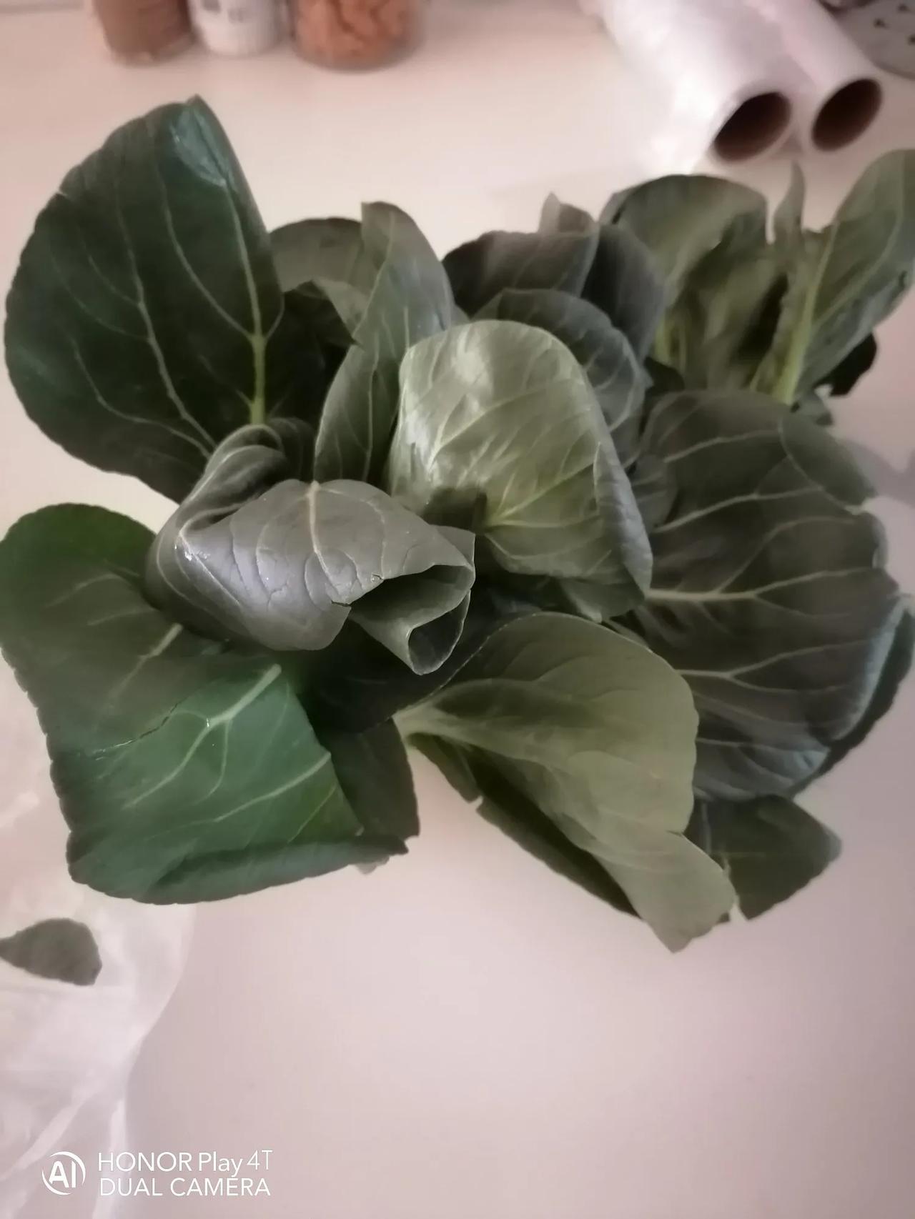 上海青、矮脚黄和小青菜，我总是分不清。在农贸市场，摊主告诉我今天买的是苏州青。