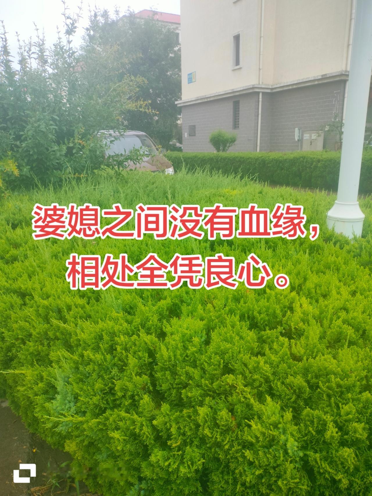 很多妯娌都不想大伯哥或者小叔子结婚我们比妯娌他们晚结婚10年，
我们是老大，
