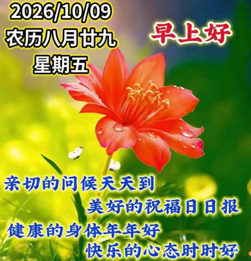 寒露过后天渐凉，
早晚莫忘添衣裳；
晚上睡觉别着凉，
换成厚被防夜寒；
早睡早起