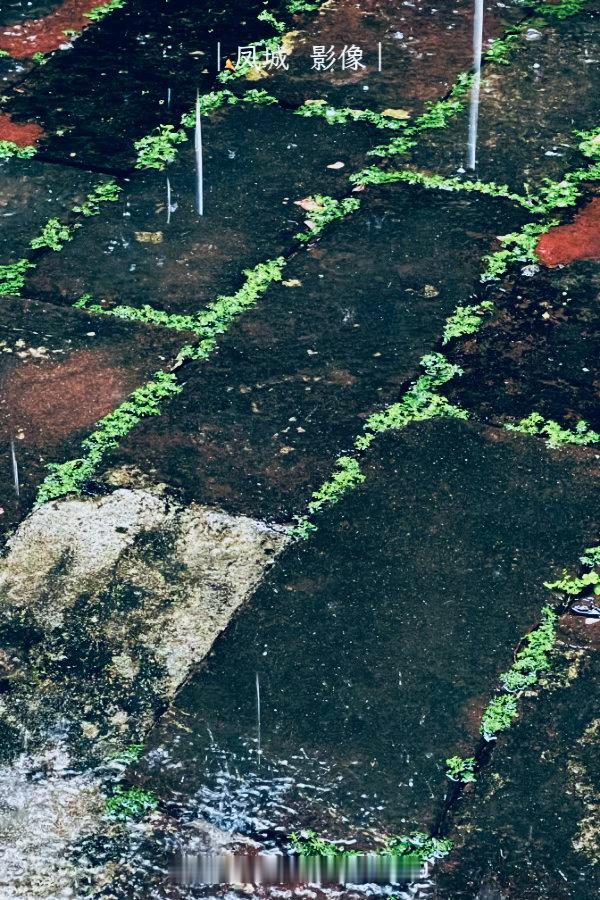 顺德[超话]凤城影像手机摄影 谈论连场大雨你窗台漏水 不得了  ​​​