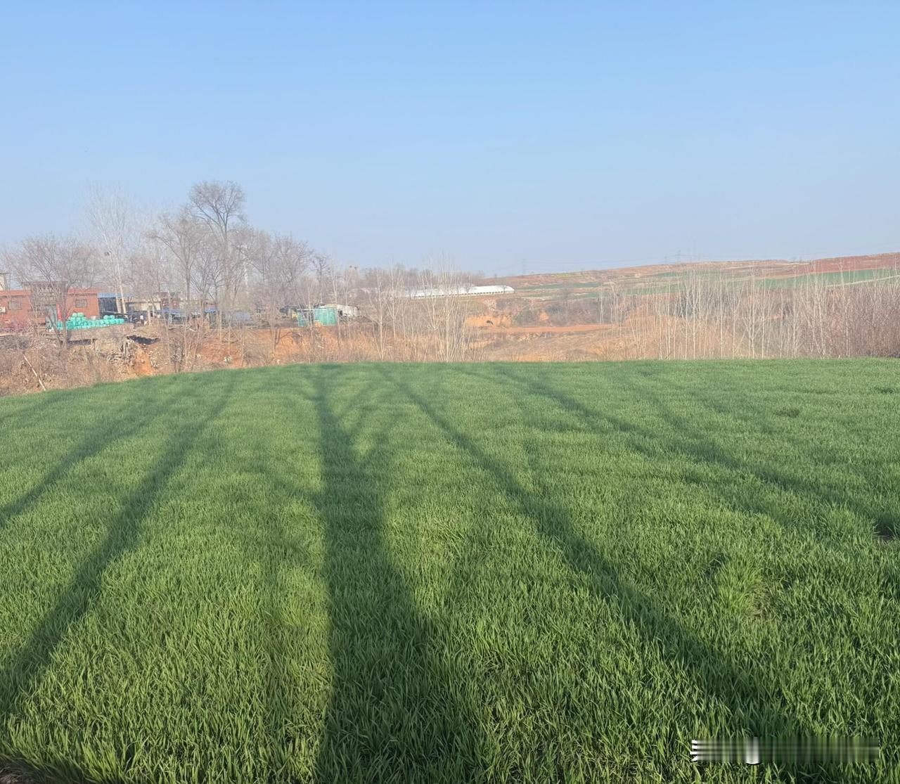 硕士研究生的我焦虑➕抑郁躯体化➕惊恐
2025年我流了很多泪，我都不知道我怎么支