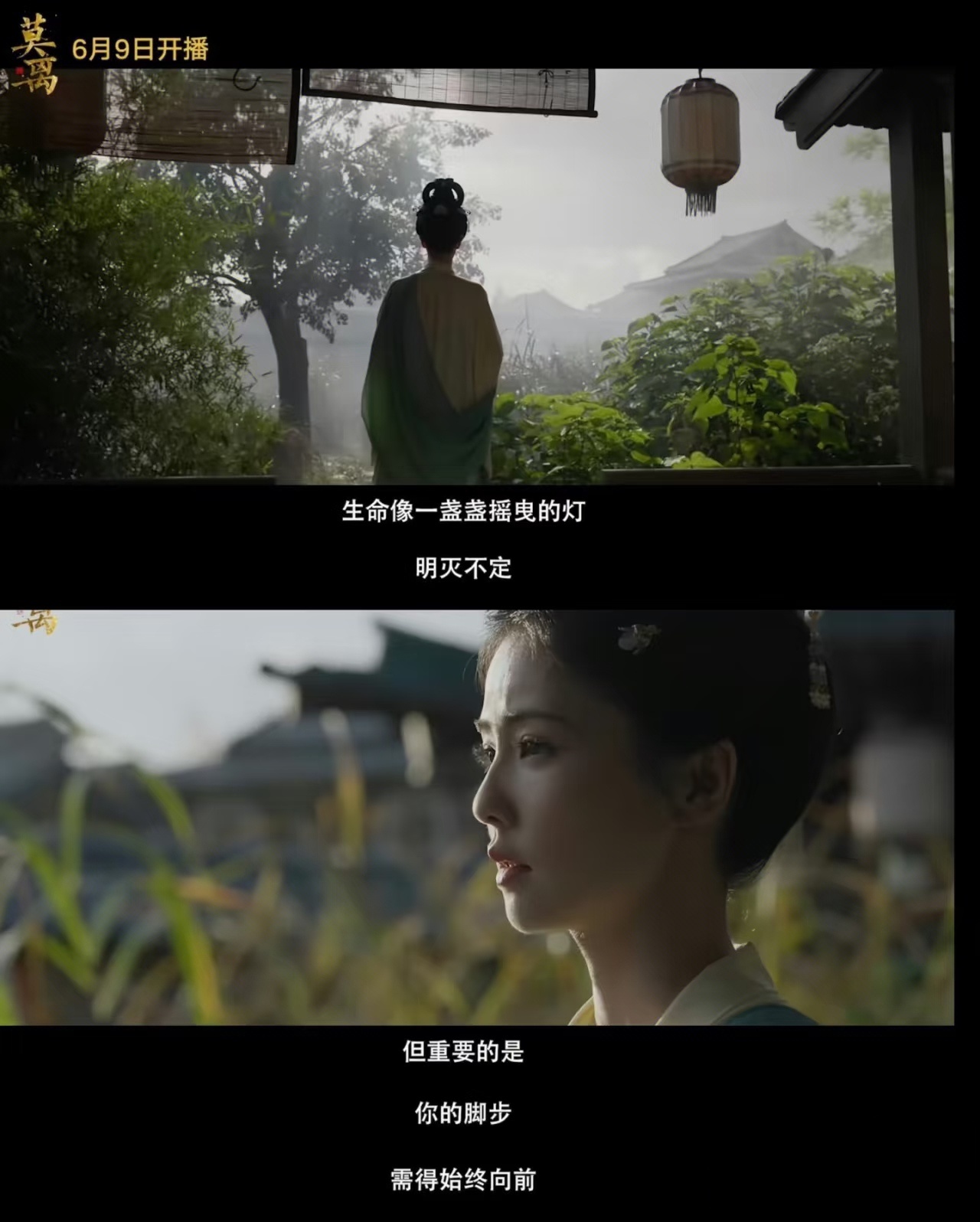 白鹿真诚喊话观众白鹿诚邀观众来看莫离，剧情渐入佳境，精彩纷呈，内娱独一份的洋葱型