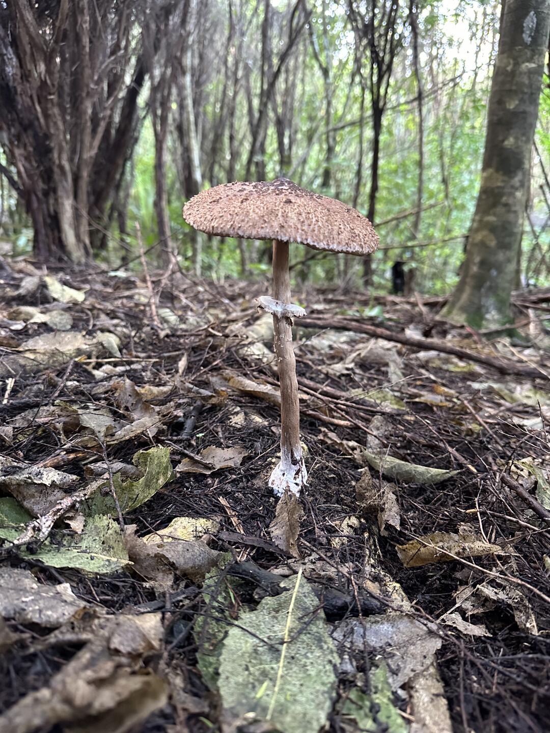 💡如果不是天赋和热爱，就没有努力的必要了