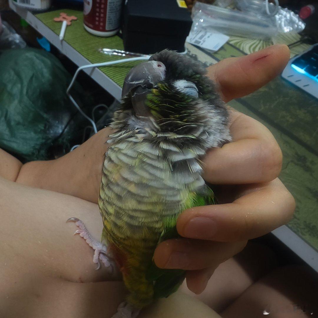 分享图片 ​​​