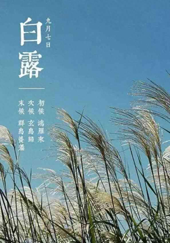 白露节气到